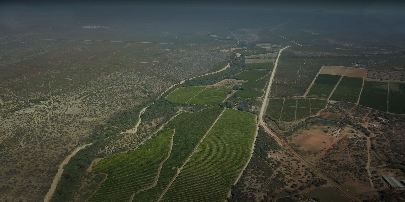 Livestock farming aerial view